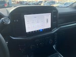 2024 F-150 Thumbnail 19