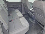 2024 F-150 Thumbnail 17