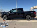 2024 F-150 Thumbnail 9