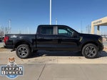 2024 F-150 Thumbnail 19