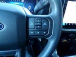 2024 F-150 Thumbnail 17
