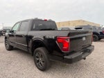 2025 F-150 Thumbnail 5