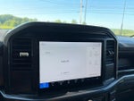 2025 F-150 Thumbnail 14