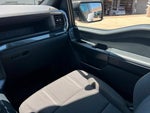 2024 F-150 Thumbnail 10