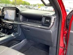 2024 F-150 Thumbnail 17