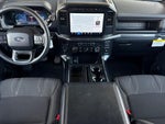 2024 F-150 Thumbnail 13