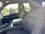 2024 F-150 Thumbnail 9