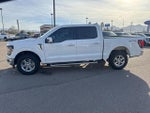 2024 F-150 Thumbnail 6