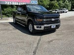 2024 F-150 Thumbnail 1
