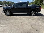 2024 F-150 Thumbnail 4
