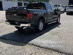 2024 F-150 Thumbnail 7