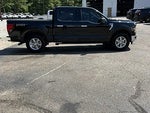 2024 F-150 Thumbnail 8