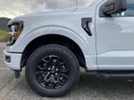 2024 F-150 Thumbnail 10