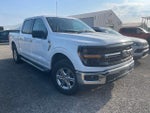 2025 F-150 Thumbnail 4