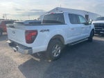 2025 F-150 Thumbnail 5