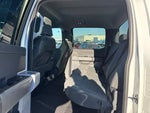 2025 F-150 Thumbnail 12