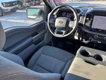 2025 F-150 Thumbnail 13