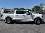 2025 F-150 Thumbnail 6