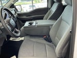 2025 F-150 Thumbnail 8