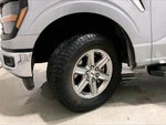 2025 F-150 Thumbnail 20
