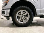 2025 F-150 Thumbnail 6