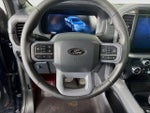 2025 F-150 Thumbnail 12