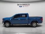 2024 F-150 Thumbnail 4