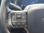 2024 F-150 Thumbnail 22