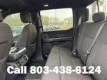 2024 F-150 Thumbnail 12