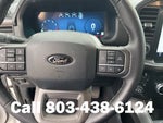 2024 F-150 Thumbnail 18