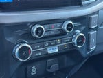 2025 F-150 Thumbnail 13