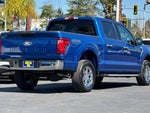 2025 F-150 Thumbnail 22