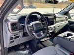 2025 F-150 Thumbnail 13
