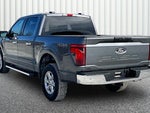 2025 F-150 Thumbnail 11