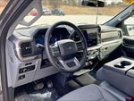 2025 F-150 Thumbnail 13