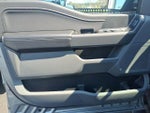 2025 F-150 Thumbnail 11