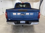 2025 F-150 Thumbnail 6