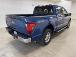 2025 F-150 Thumbnail 7