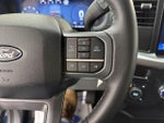 2025 F-150 Thumbnail 13