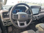 2025 F-150 Thumbnail 11