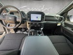 2026 F-150 Thumbnail 21