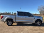 2024 F-150 Thumbnail 4