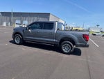 2024 F-150 Thumbnail 10