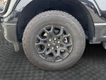 2024 F-150 Thumbnail 18