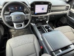 2025 F-150 Thumbnail 12