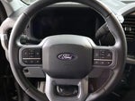 2025 F-150 Thumbnail 13