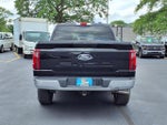 2025 F-150 Thumbnail 20