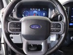 2025 F-150 Thumbnail 3