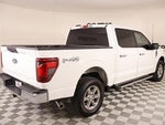 2025 F-150 Thumbnail 19