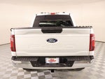 2025 F-150 Thumbnail 20
